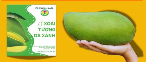 Xoài tượng da xanh