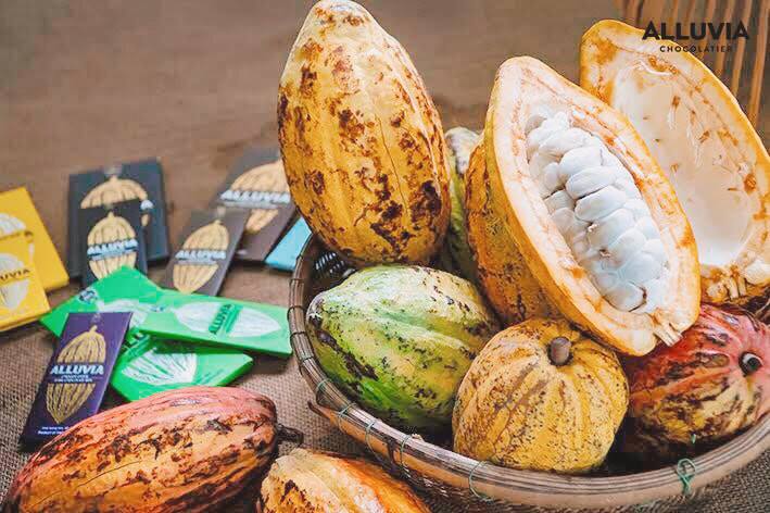 Công ty TNHH Ca Cao Xuân Ron Chợ Gạo