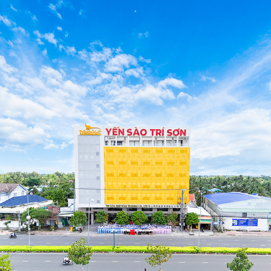 Công ty TNHH Thương mại dịch vụ Trí Sơn