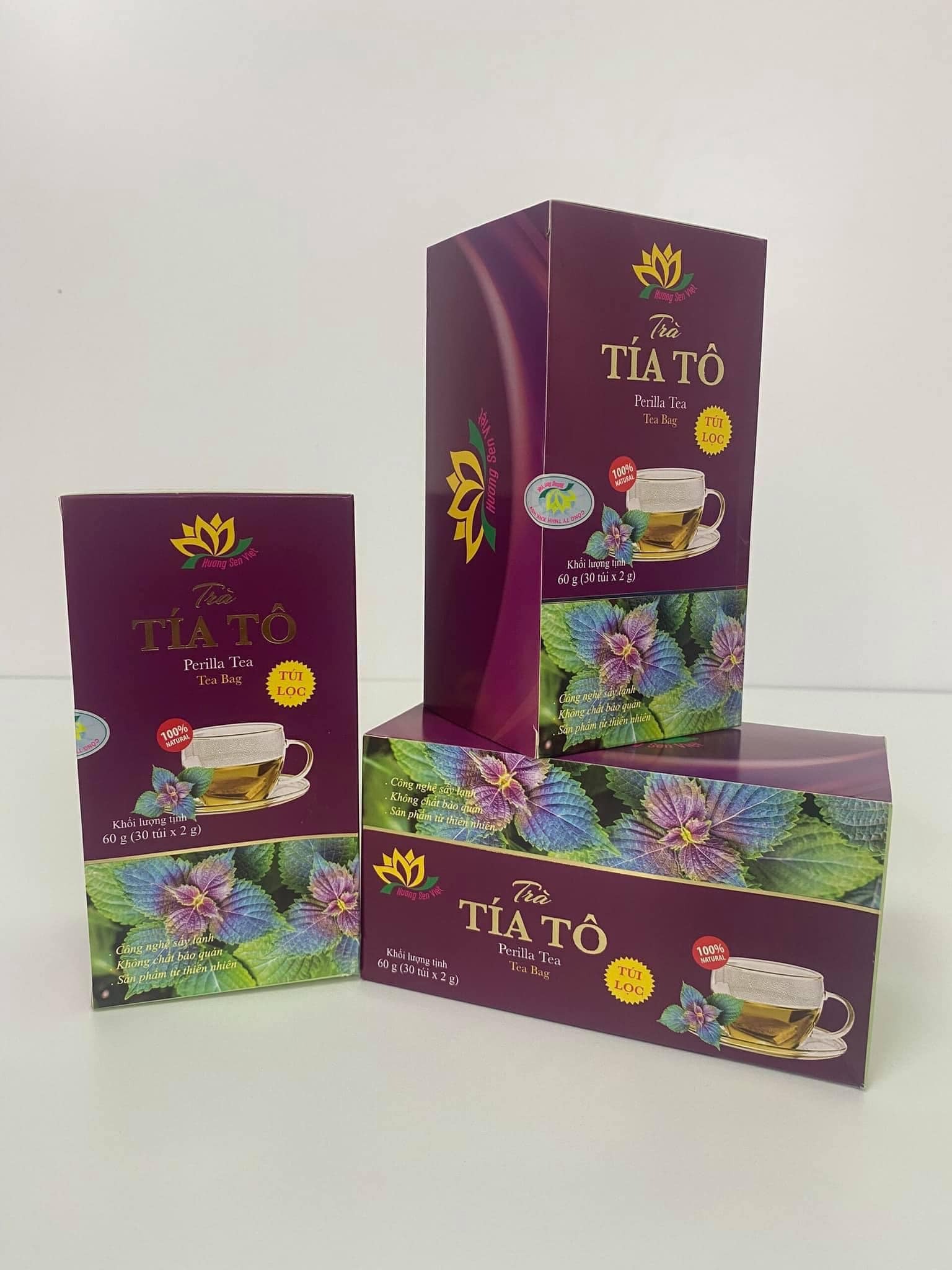 Trà tía tô túi lọc