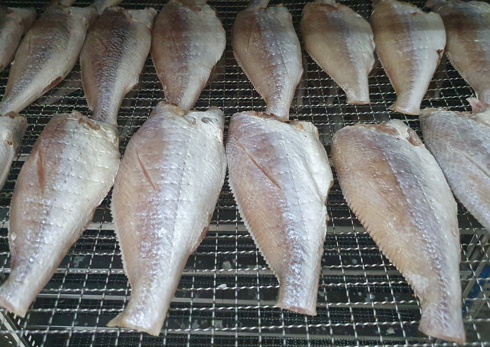 Khô cá Phèn một nắng