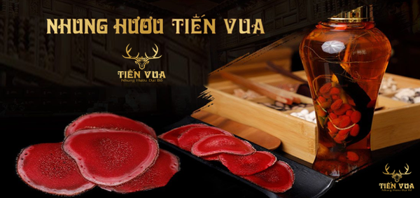 Rượu nhung hươu tiến vua