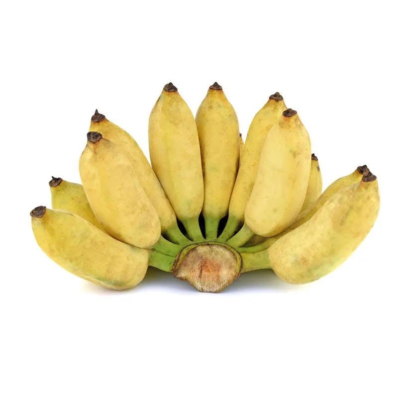 Chuối sứ Thiên Phúc