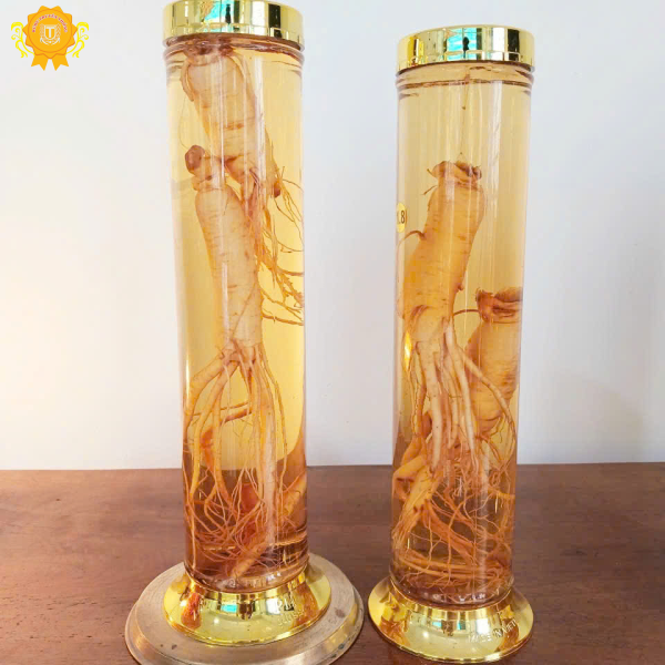 Rượu sâm