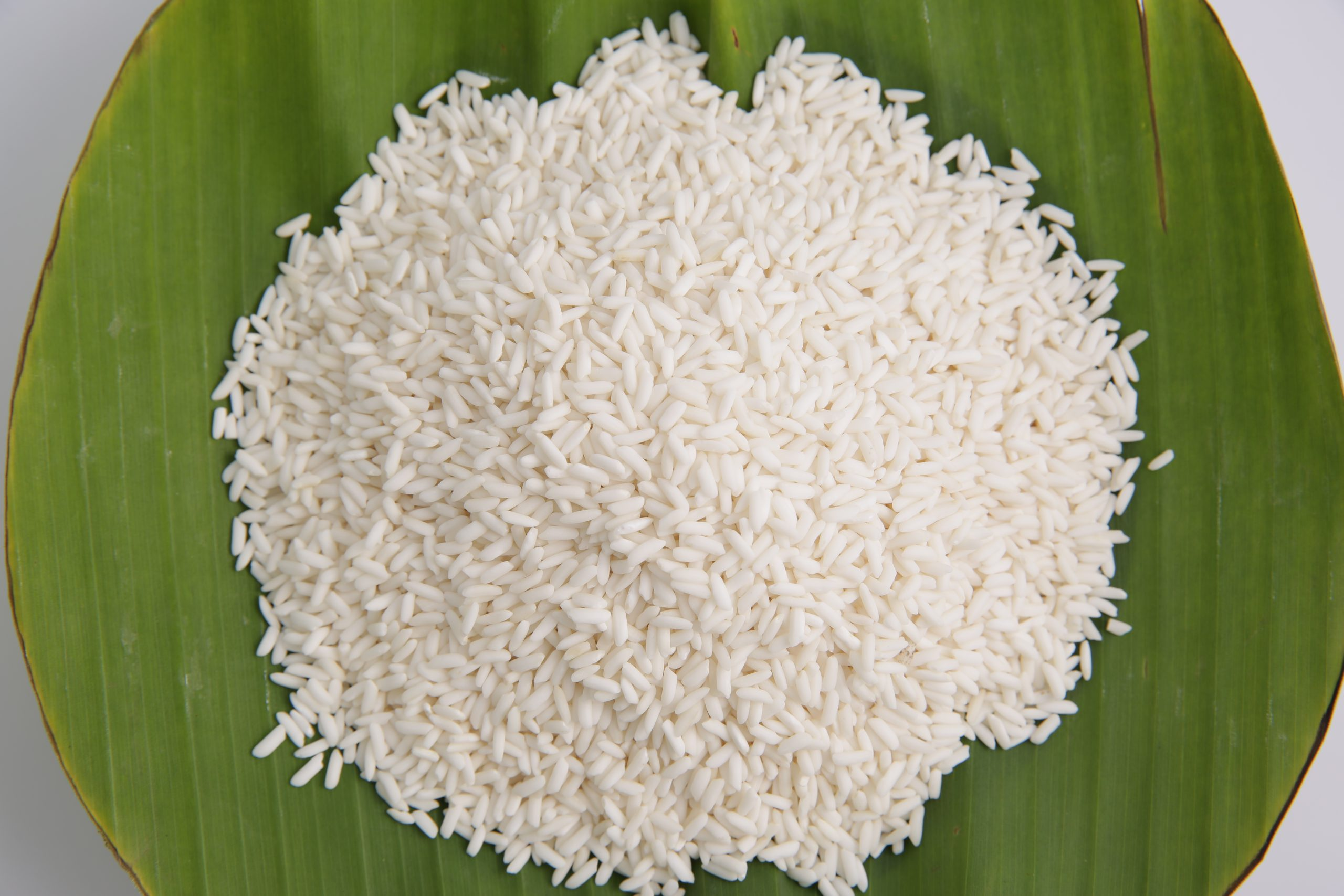Nếp