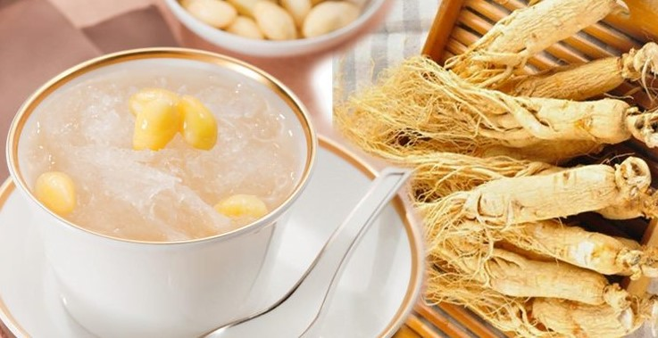 Yến chưng nhân sâm