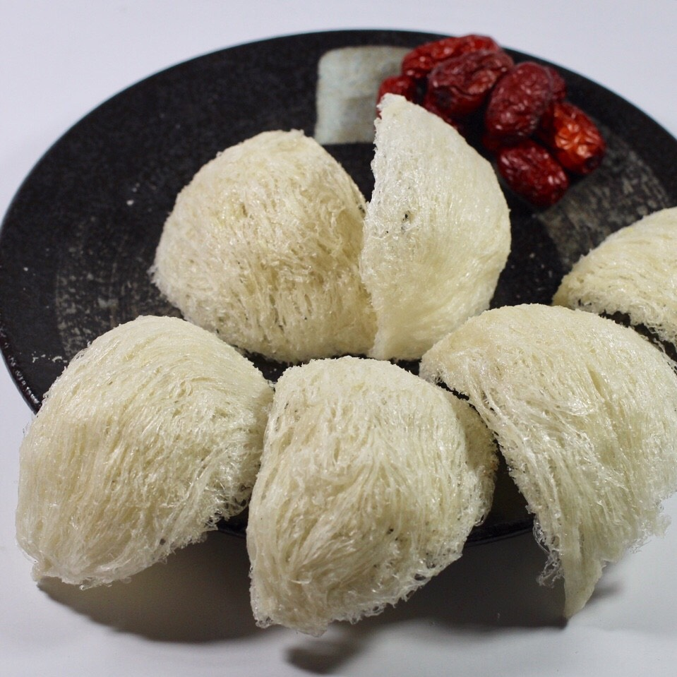 Tổ yến