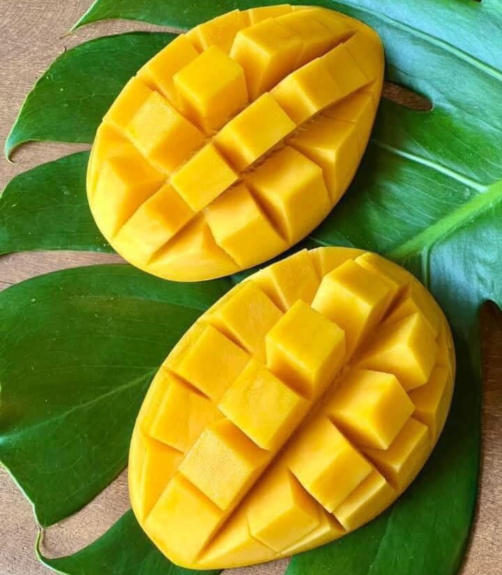 Xoài cát Hòa Lộc