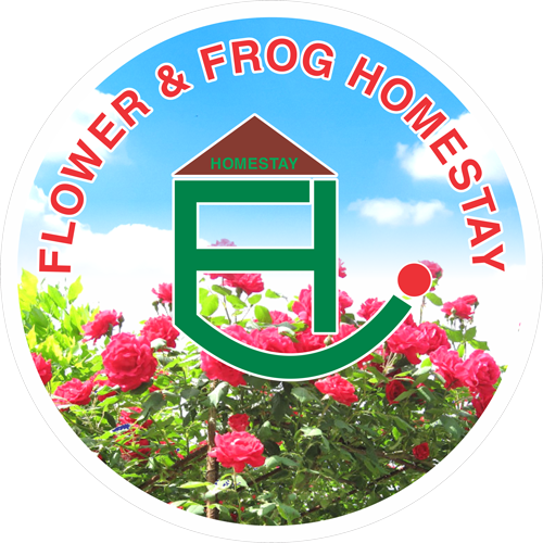 FLOWER & FROG HOMESTAY HÙNG TRANG