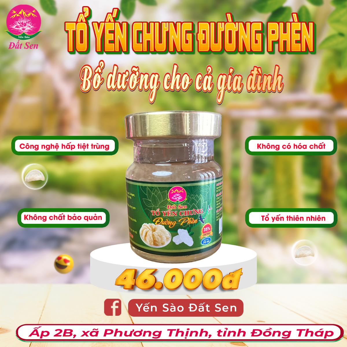 Yến chưng Đường Phèn