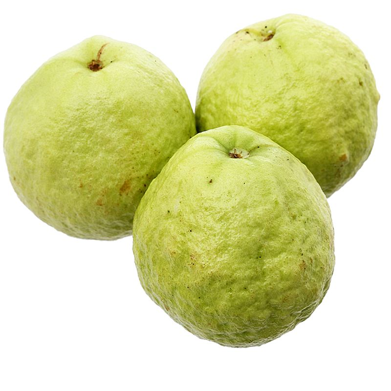 Ôỉ lê tươi
