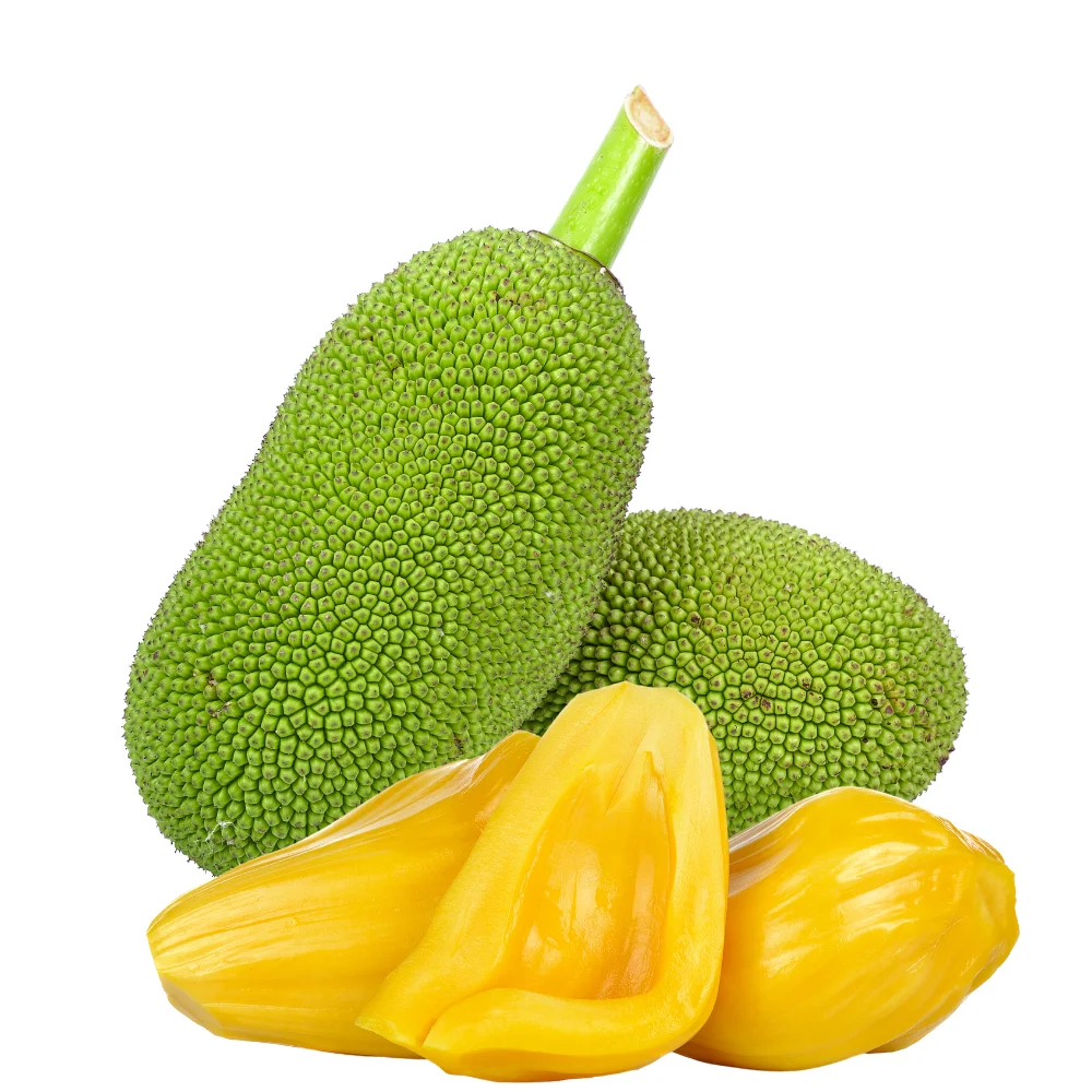 Mít Tân Hội Trung