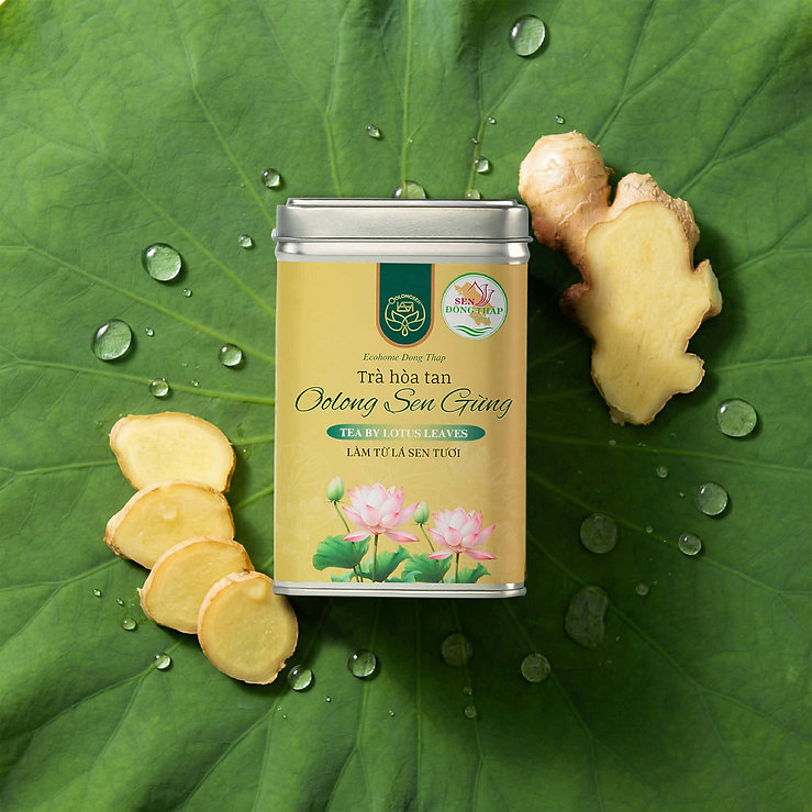 Trà hoà tan Oolong sen gừng