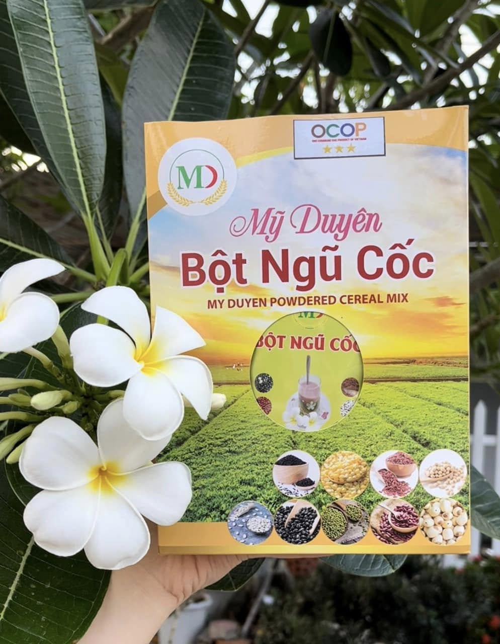 Bột ngũ cốc