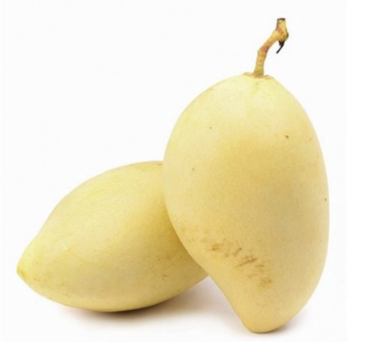 Xoài Cát Chu