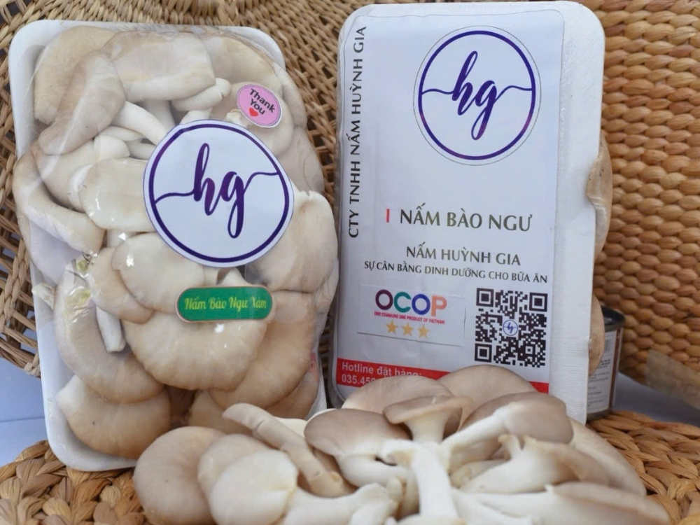 Nấm bào ngư xám