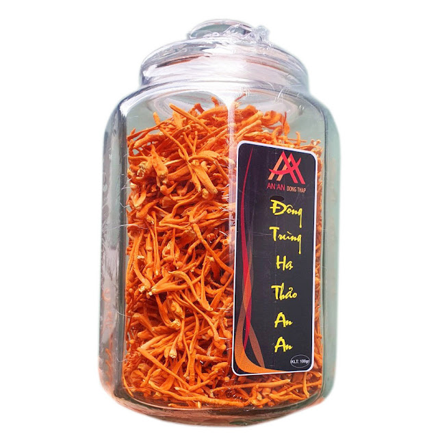 Đông trùng hạ thảo sấy thăng hoa