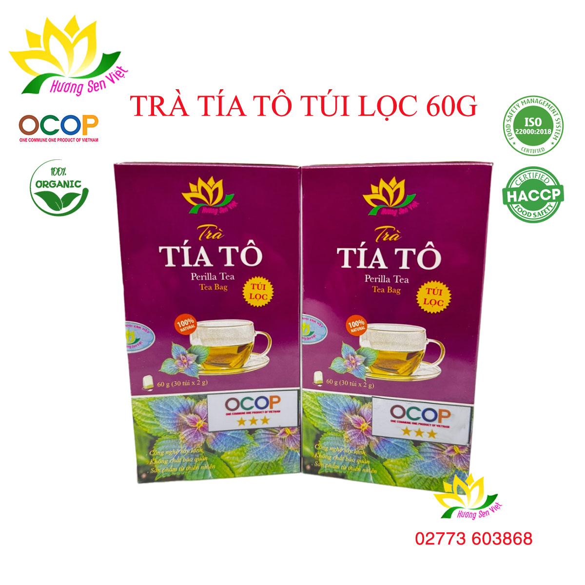 Trà tía tô túi lọc