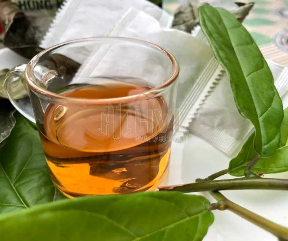 Túi lọc trà lá ổi
