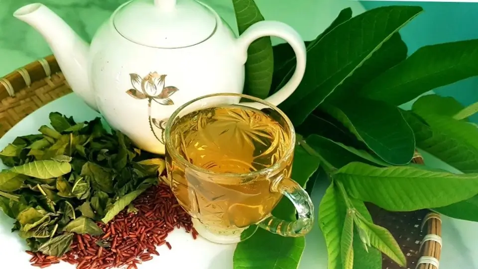 Trà lá ổi non Nhi Nhi