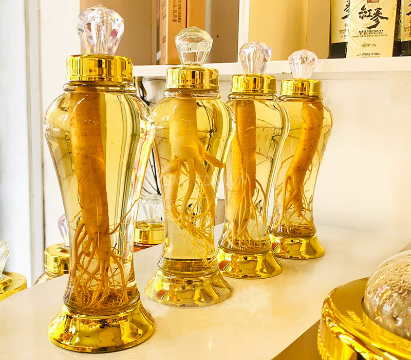Rượu sâm đất việt