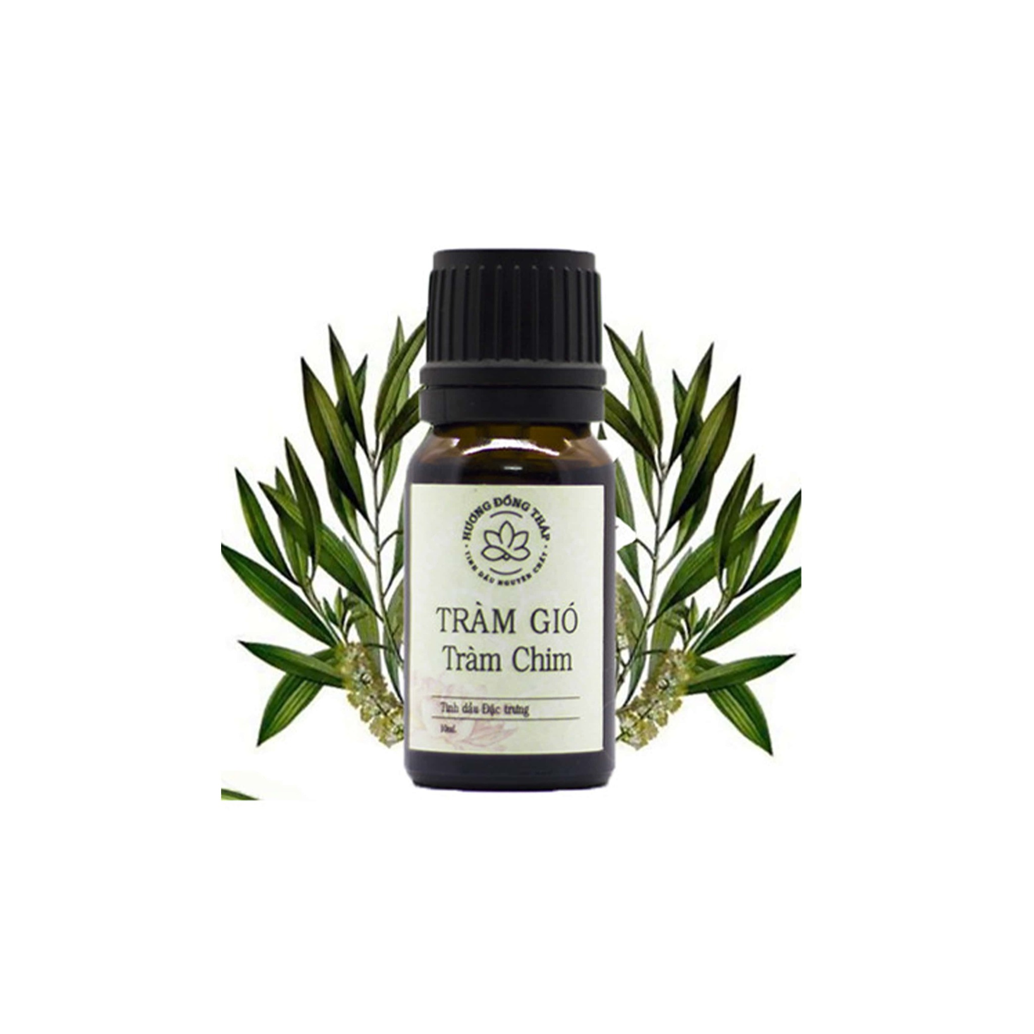 Tinh dầu Tràm Gió Tràm Chim