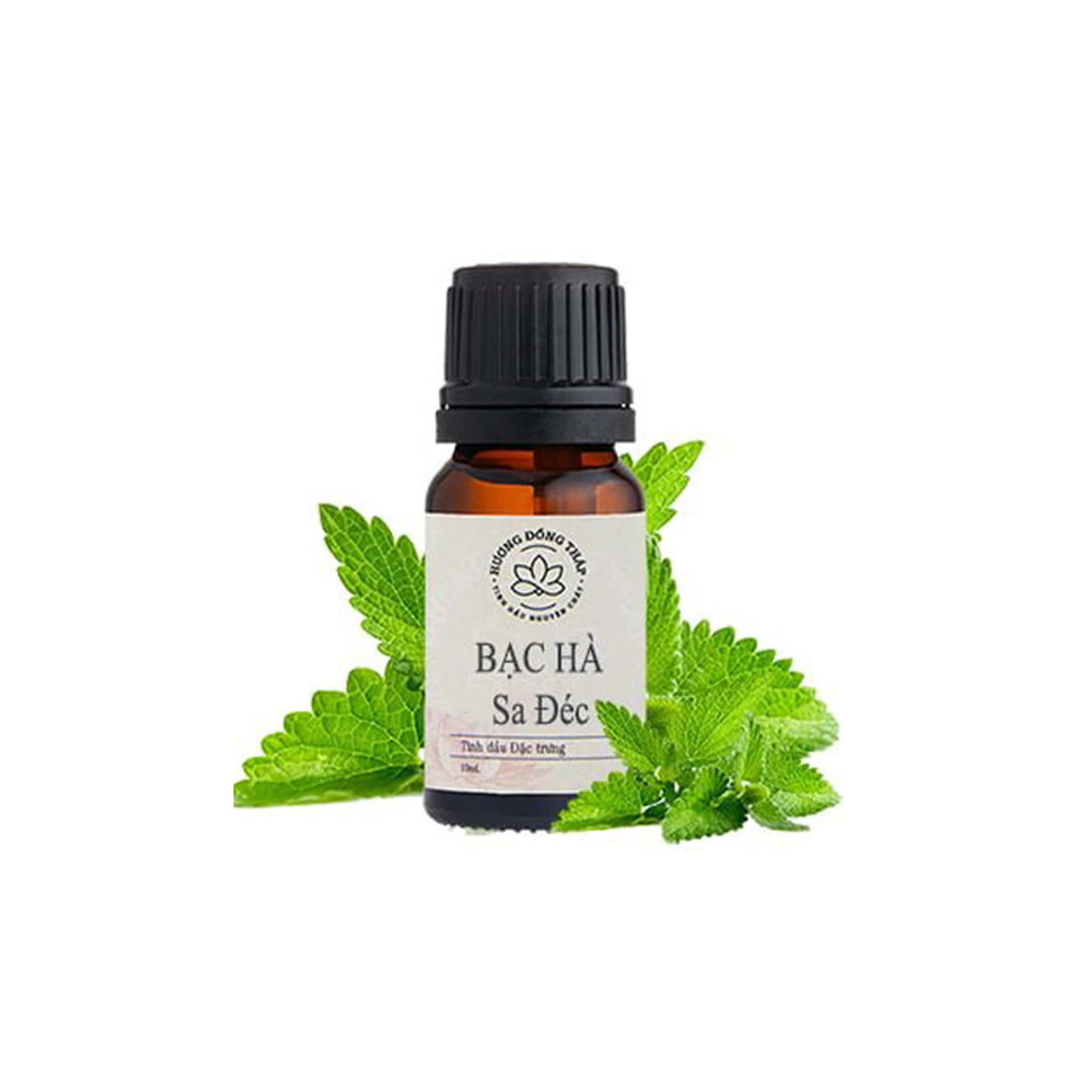 Tinh dầu Bạc Hà Sa Đéc