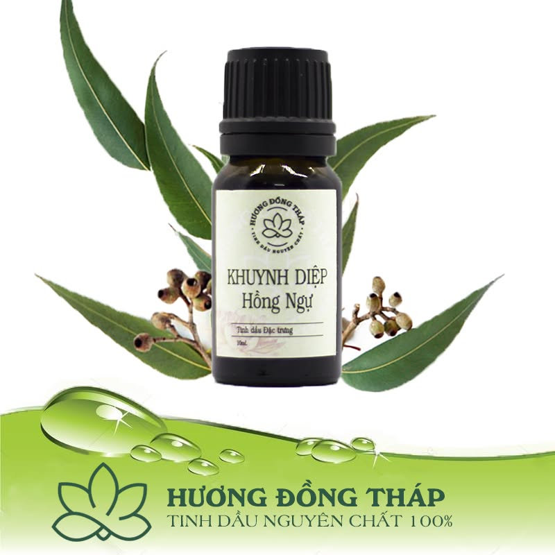 Tinh dầu khuynh diệp Hồng Ngự