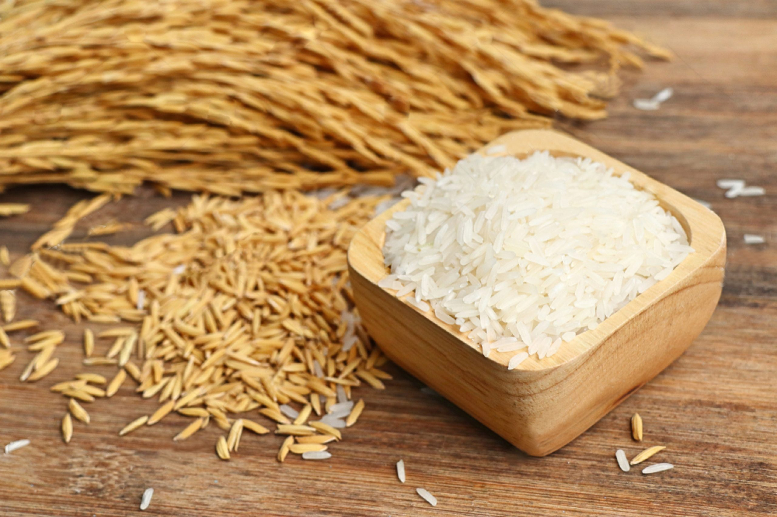 Gạo Toàn Tâm LP5