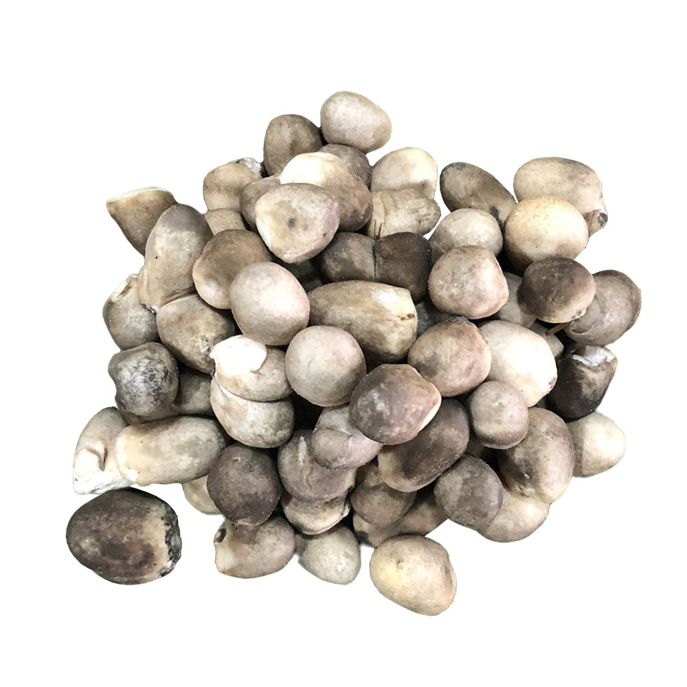 Nấm rơm tươi