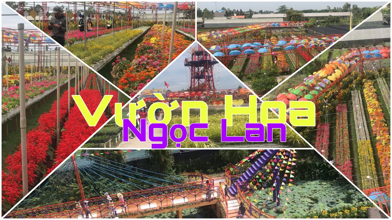 Vườn kiểng Ngọc Lan