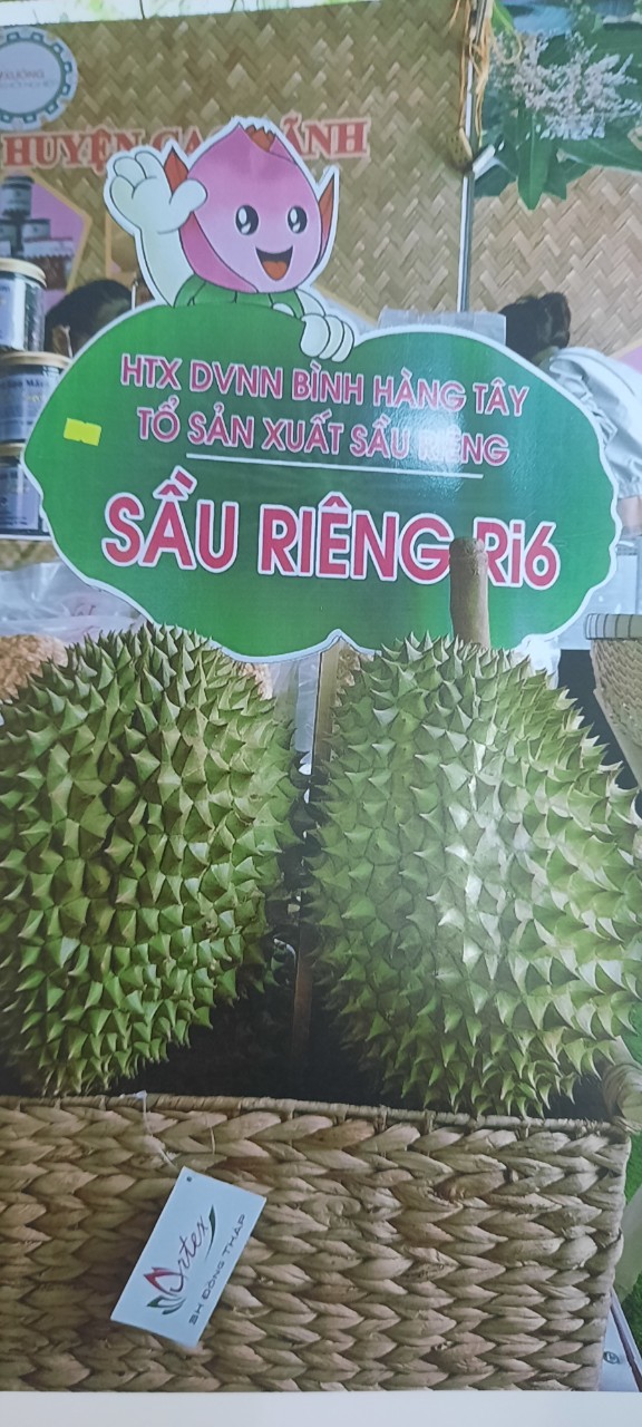 sầu riêng