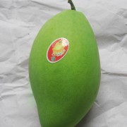 Xoài Cát Hoà Lộc Mango King