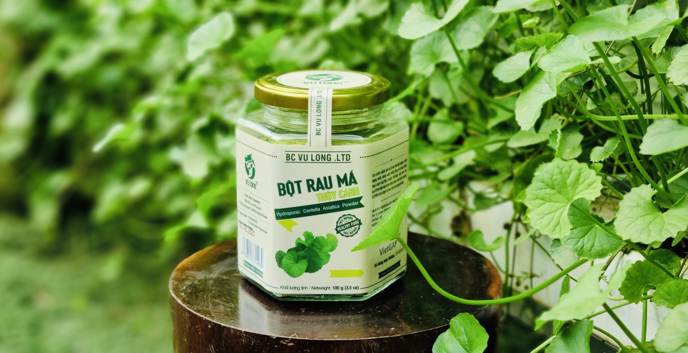 Bột rau má thủy canh