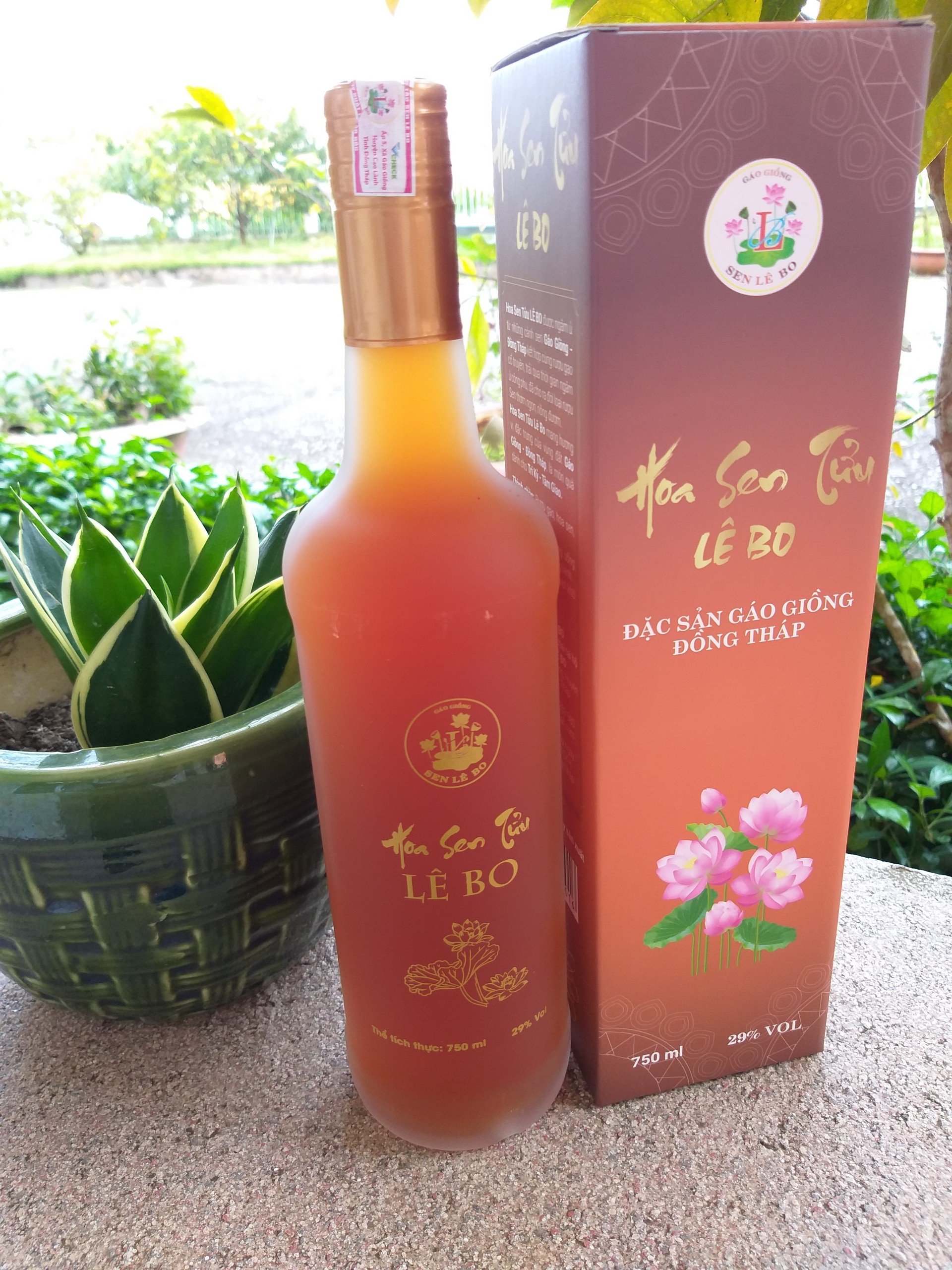 Hoa sen tửu Lê Bo